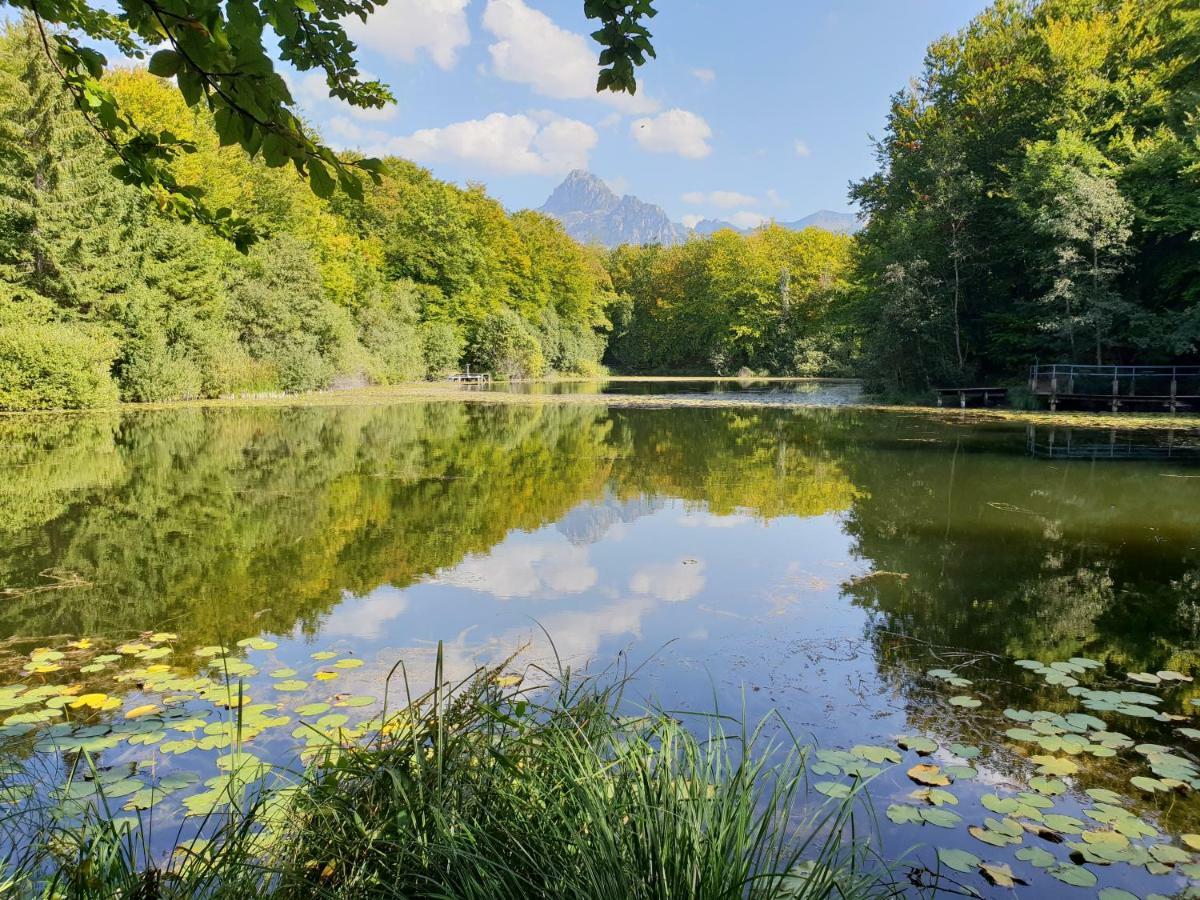 Entre Lac Et Montagnes Bernex Zewnętrze zdjęcie